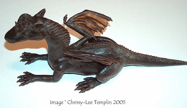 Baby Dragon: Top-Down View