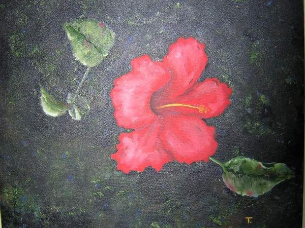 Hibiscus