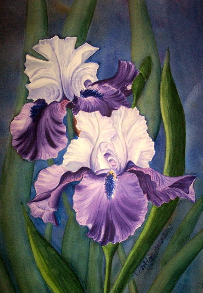 Twin Irises
