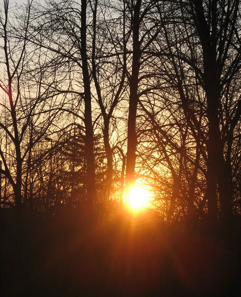 March Sunrise