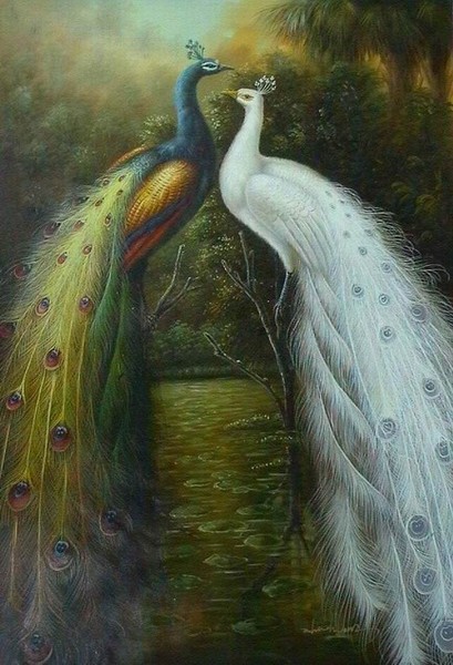 Two  peacocks 