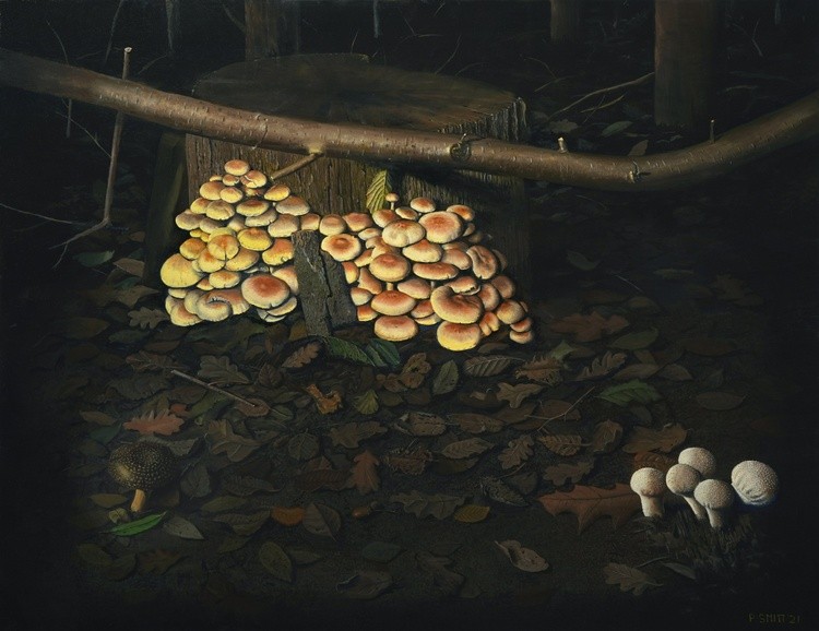 Mushrooms