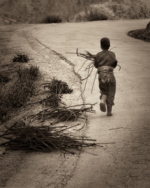 Bhutan Sepia No. 7