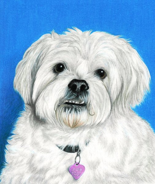 Gizmo - Happy Mother's Day!