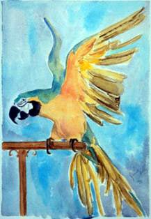 Parrot