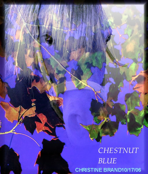 CHESTNUT BLUES DEDICATED TO MALIN HAGMAN