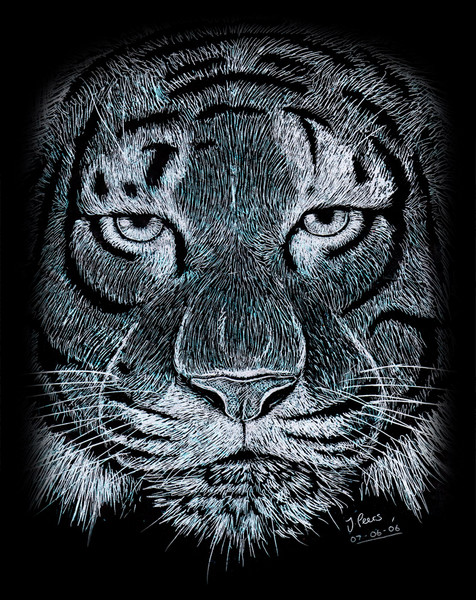 Tiger Scratch