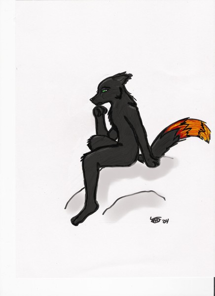 wolf