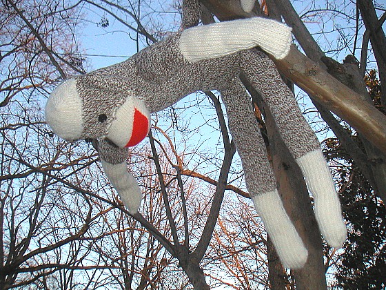 Sock Monkey Gets Away