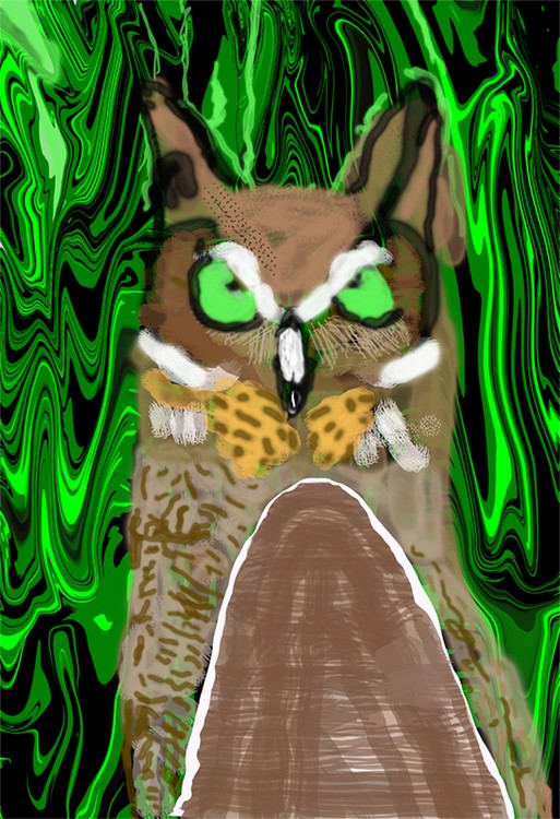 O903 sm green eyed owl