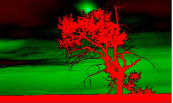 red green tree