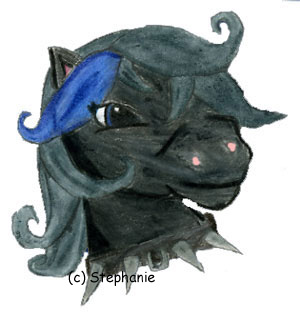 My punk pony