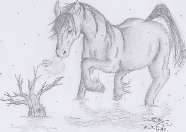 The Cold Walk