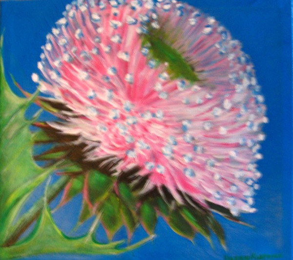 Thistle