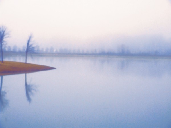 Early Morning