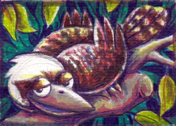 ACEO Kookaburra - Detail