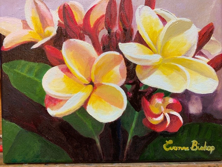 Plumerias Of Kauai