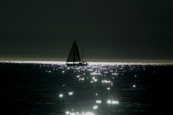 Sail  Boat in Sunset 