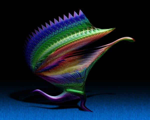 Running Road Runner