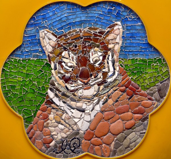 Tiger cub