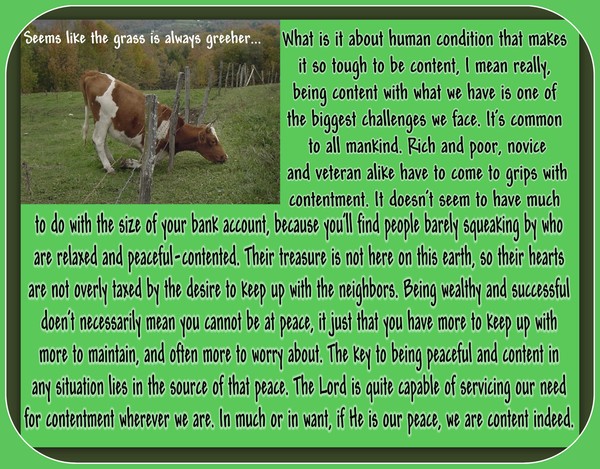 Seems Like The Grass Is Always Greeher...