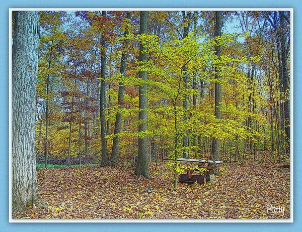 Autumn at Home....