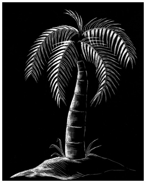 Midnight Palm