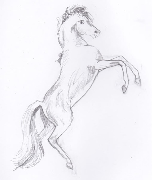 Arabian