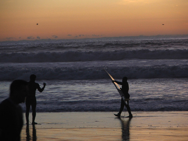 surfers in the mis t