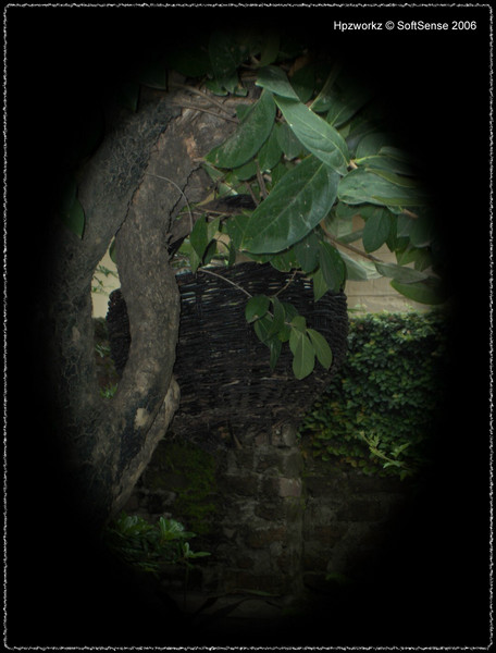 Hanging by the Branch