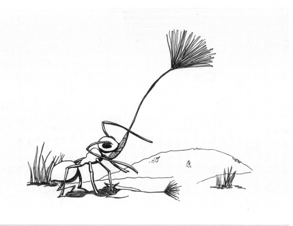 Ant at Work