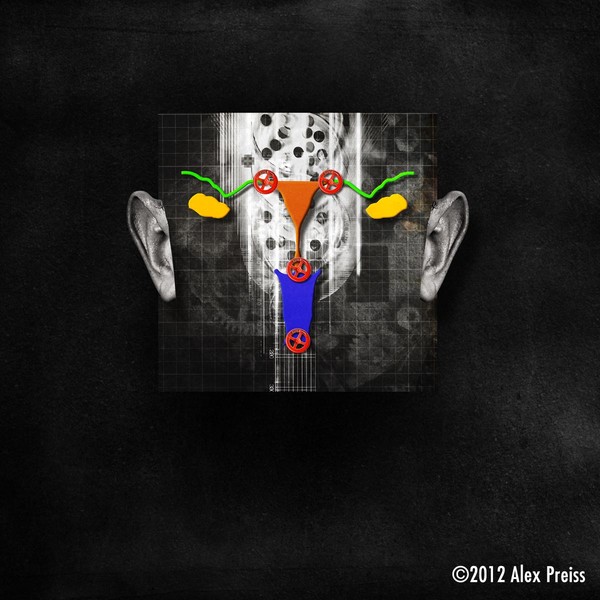Portrait of a virtual mind. Todd Akin.