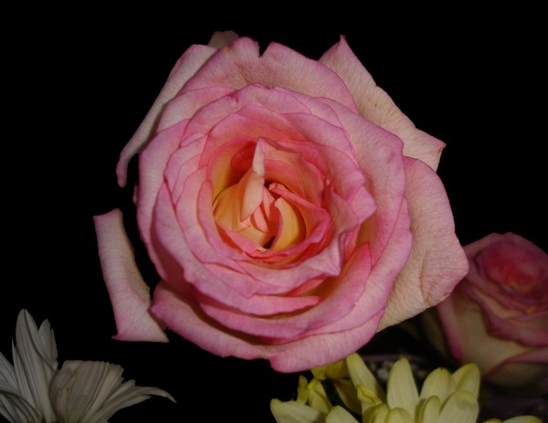 The depth of beauty