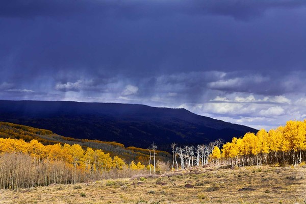 Boulder Mountain Storm and Aspens