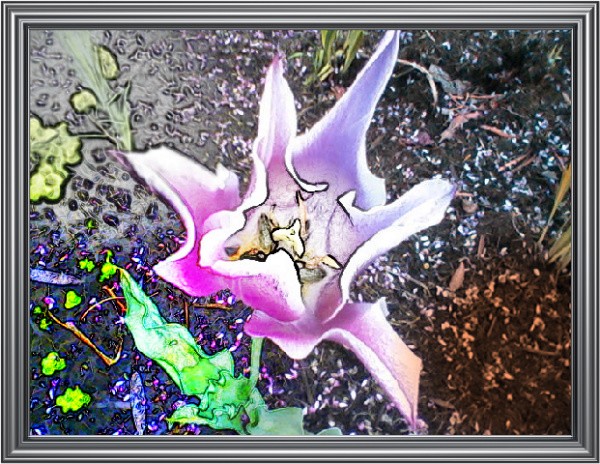 Flower
