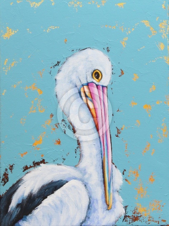 Pelican 