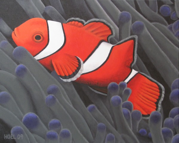 Clown Fish