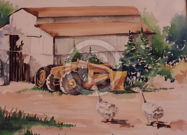 Two Ducks and a barn