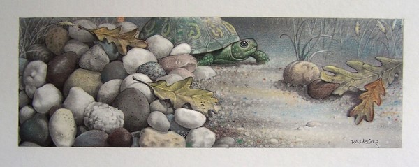 Turtle