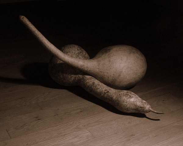 Gourds Sepia Toned
