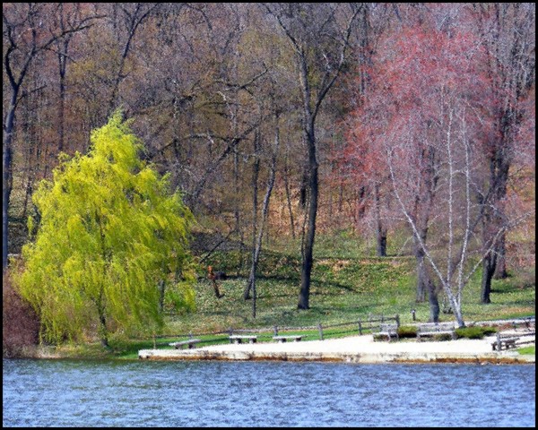Other Side Of The Pond
