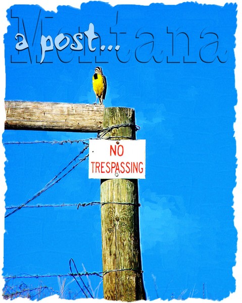Post Card #1
