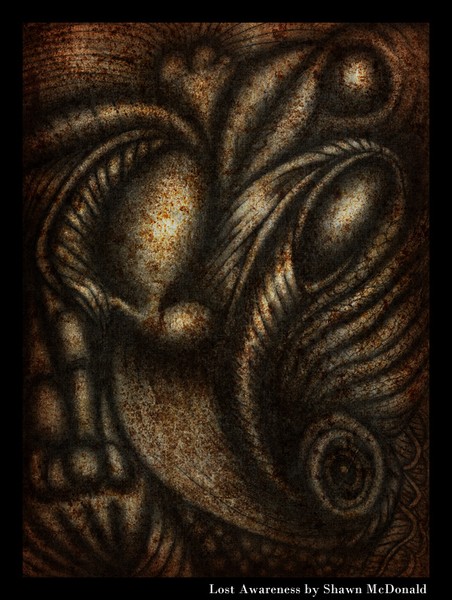 Lost Awareness by Shawn McDonald