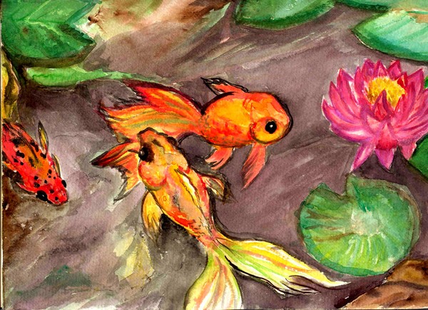 Koi