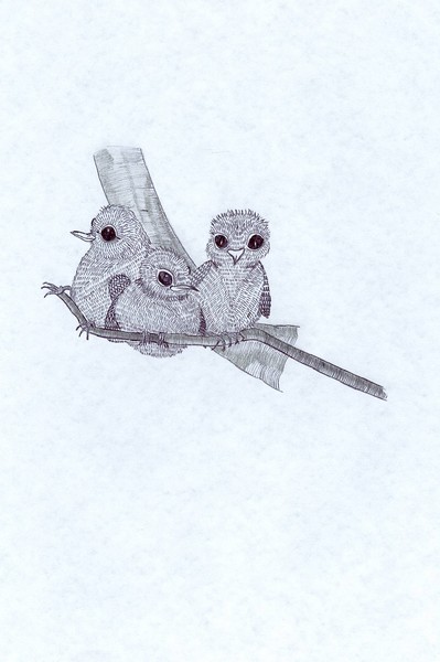 birdies1