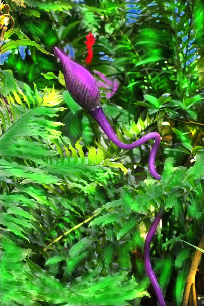 Purple Tube in the Wild by Dale Chihuly