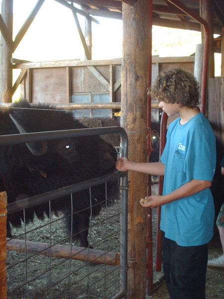 Matt Feeding WarBonnett