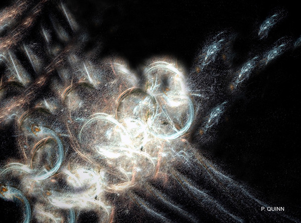 Galaxy's Rings