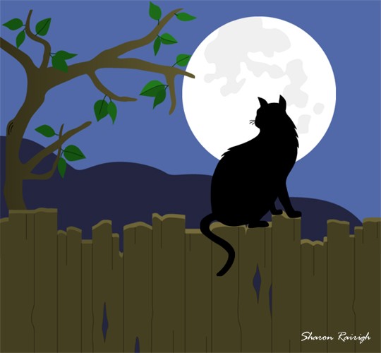 Moonlight