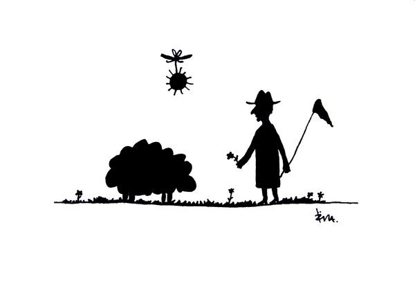The Sheep Wander II